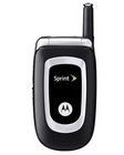 Motorola C290