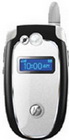 Motorola V557