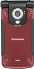 Panasonic SA6