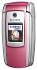 Samsung SGH-M300