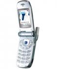 Samsung SGH-Z100