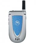 Motorola V66