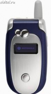Motorola V555