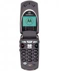 Motorola V60